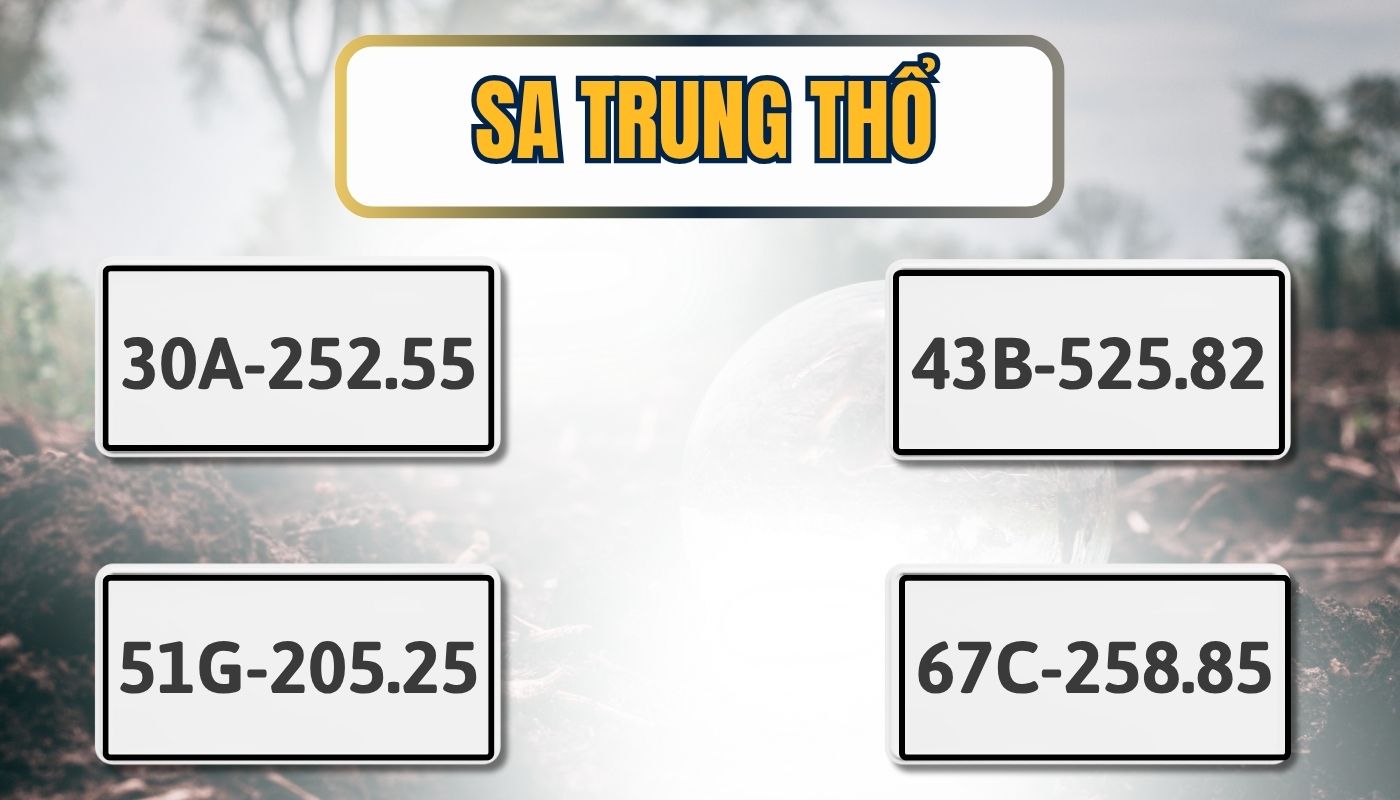 Biển xe hợp Sa Trung Thổ